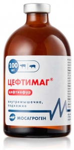 cef