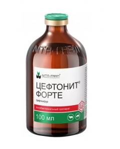 cefforte